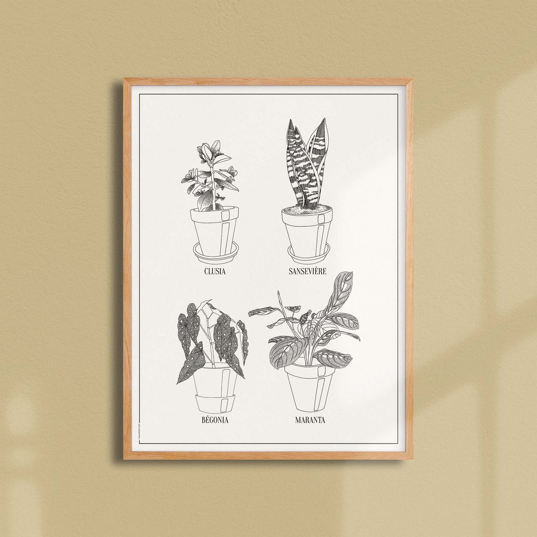 Affiche atelierDAZAT Les plantes en pot
