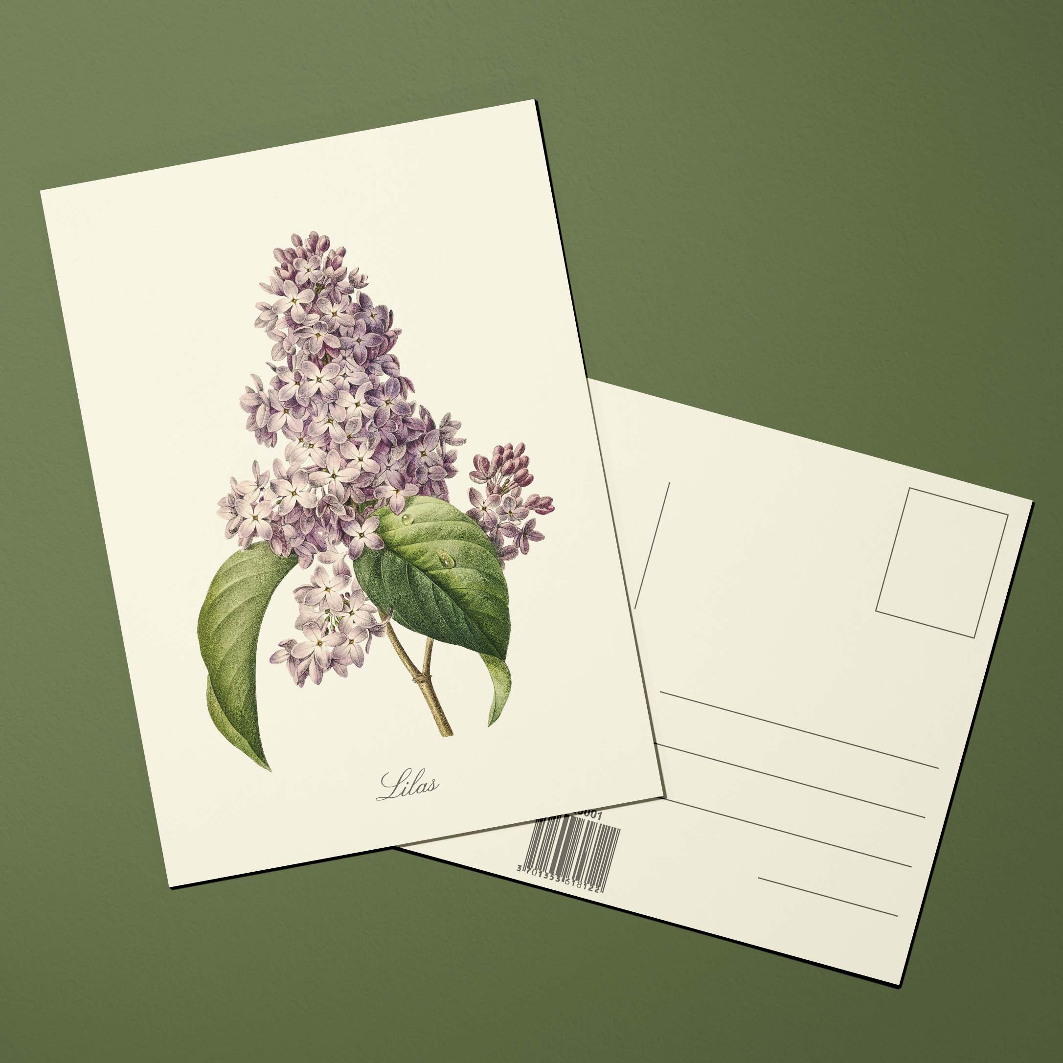 Carte postale Fleurs Lilas