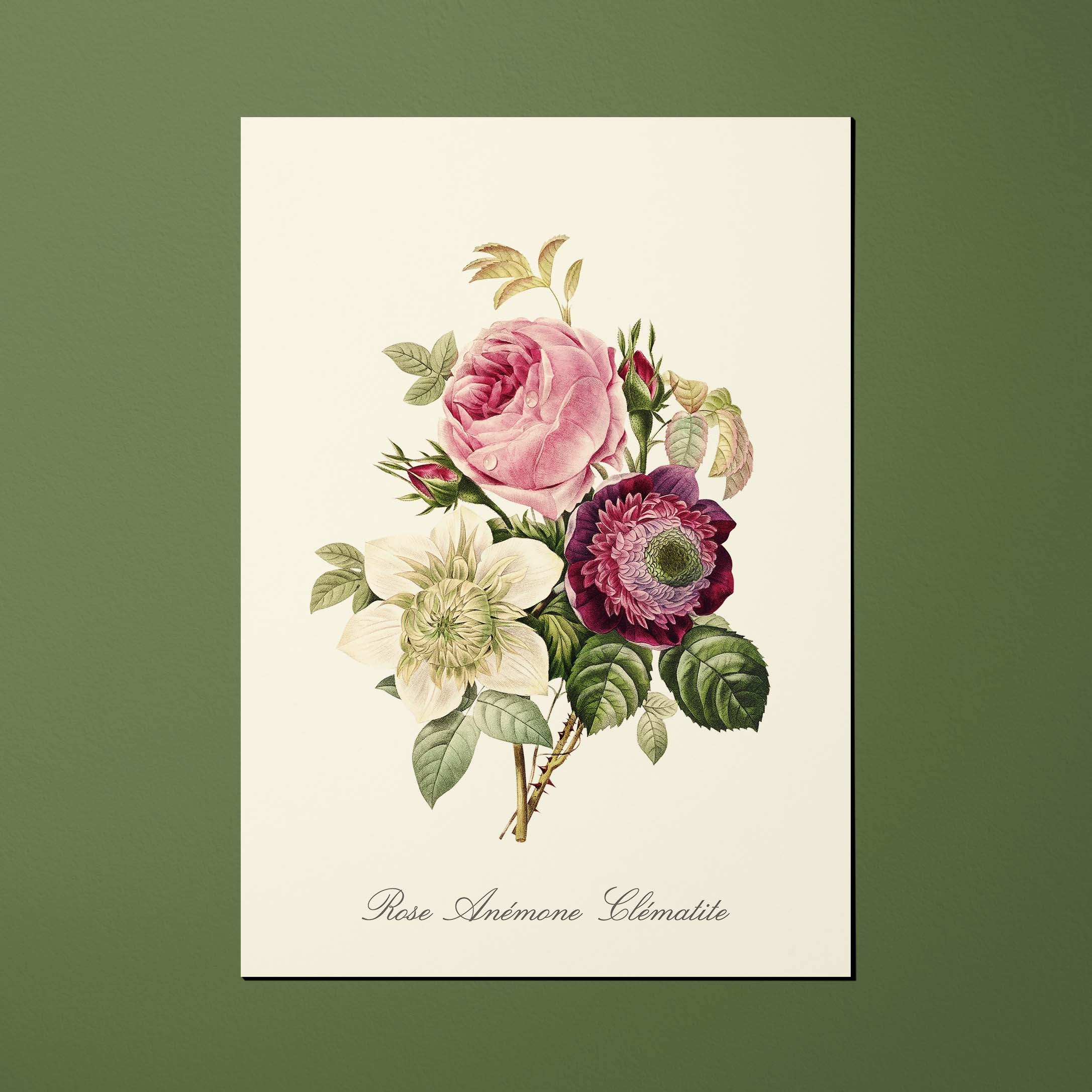 Carte postale Fleurs Rose - Anémone - Clématite