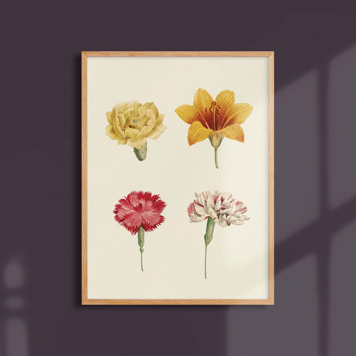 Planche botanique  - Composition de fleurs