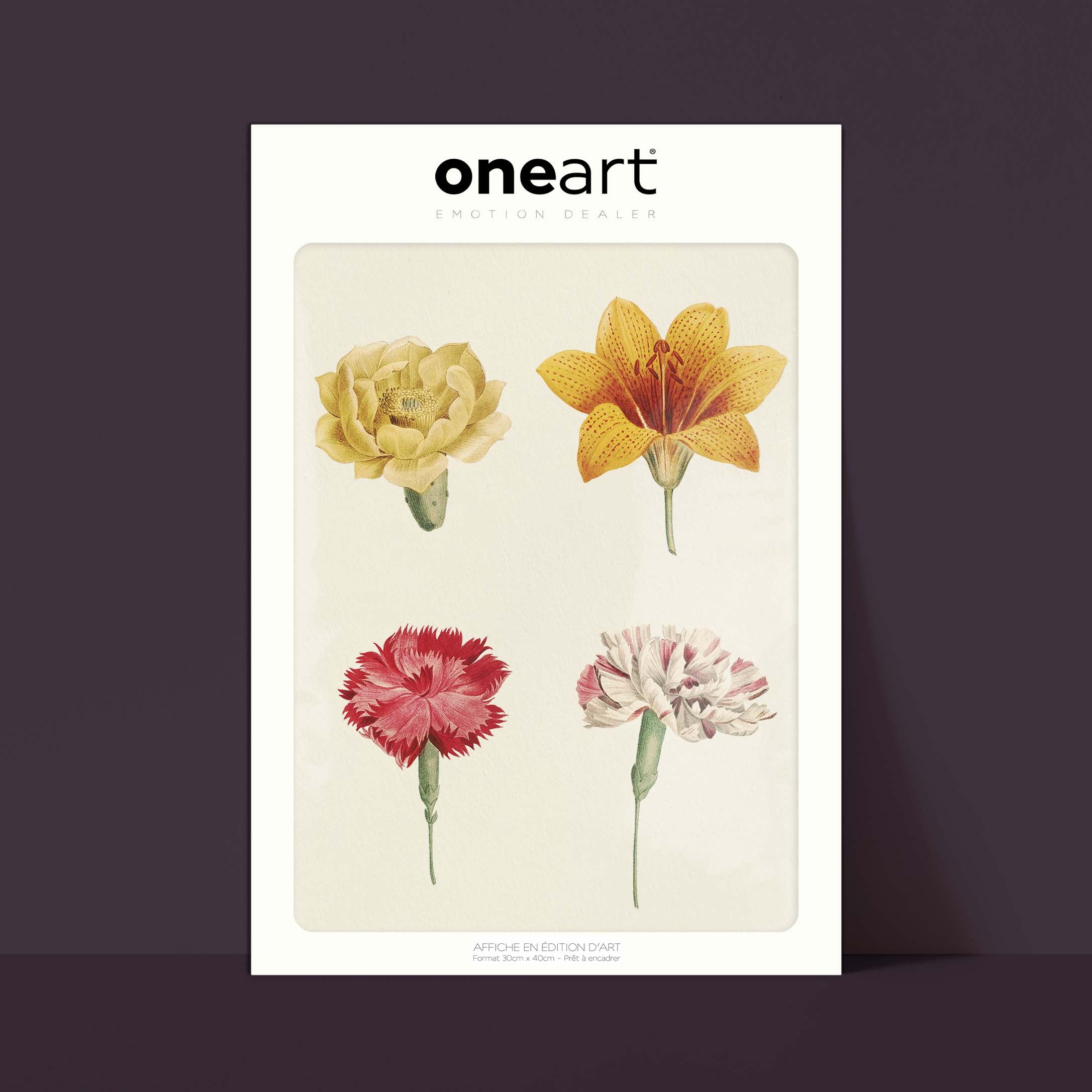 Planche botanique - Composition de fleurs-oneart.fr