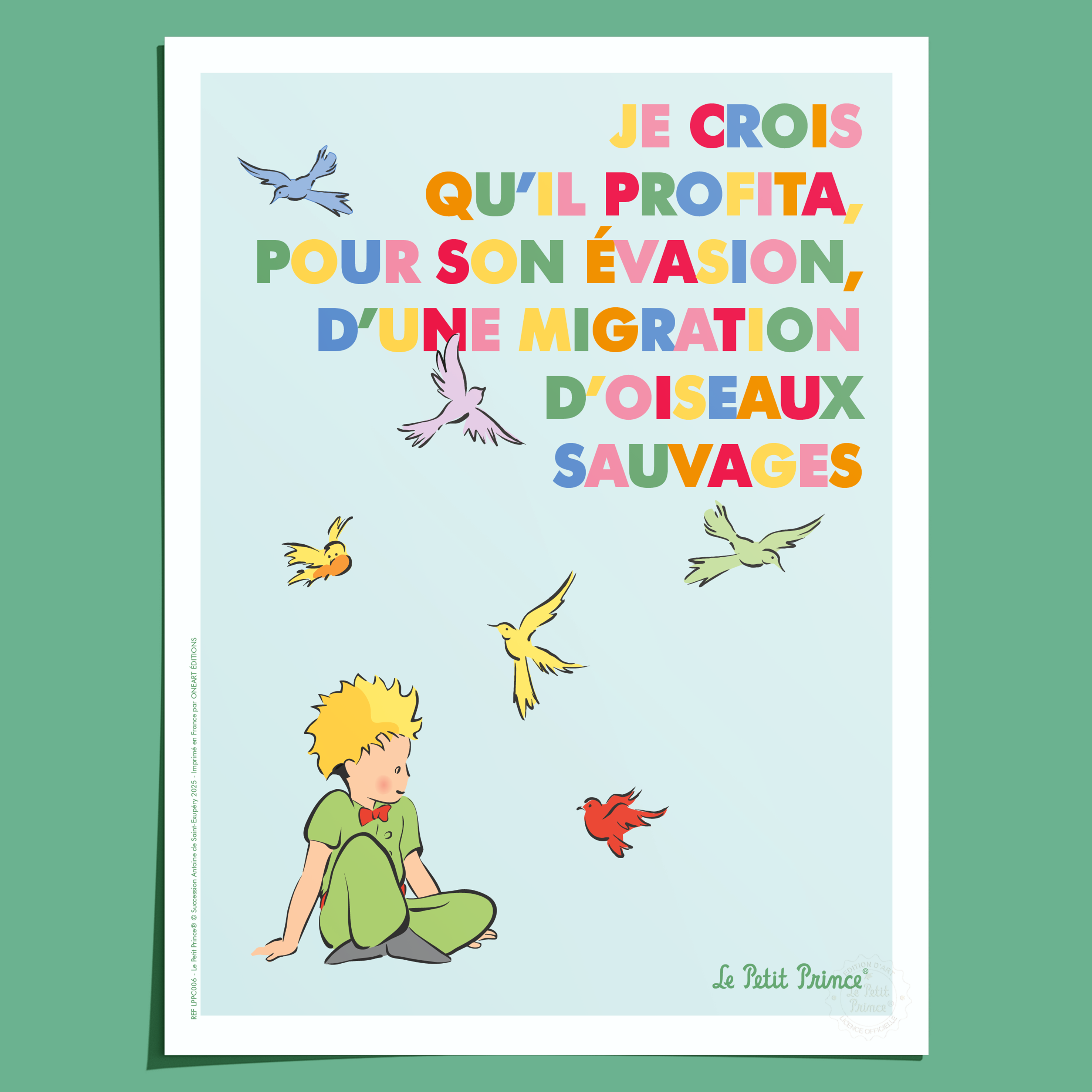 Affiche Le Petit Prince en Couleur, Oiseaux