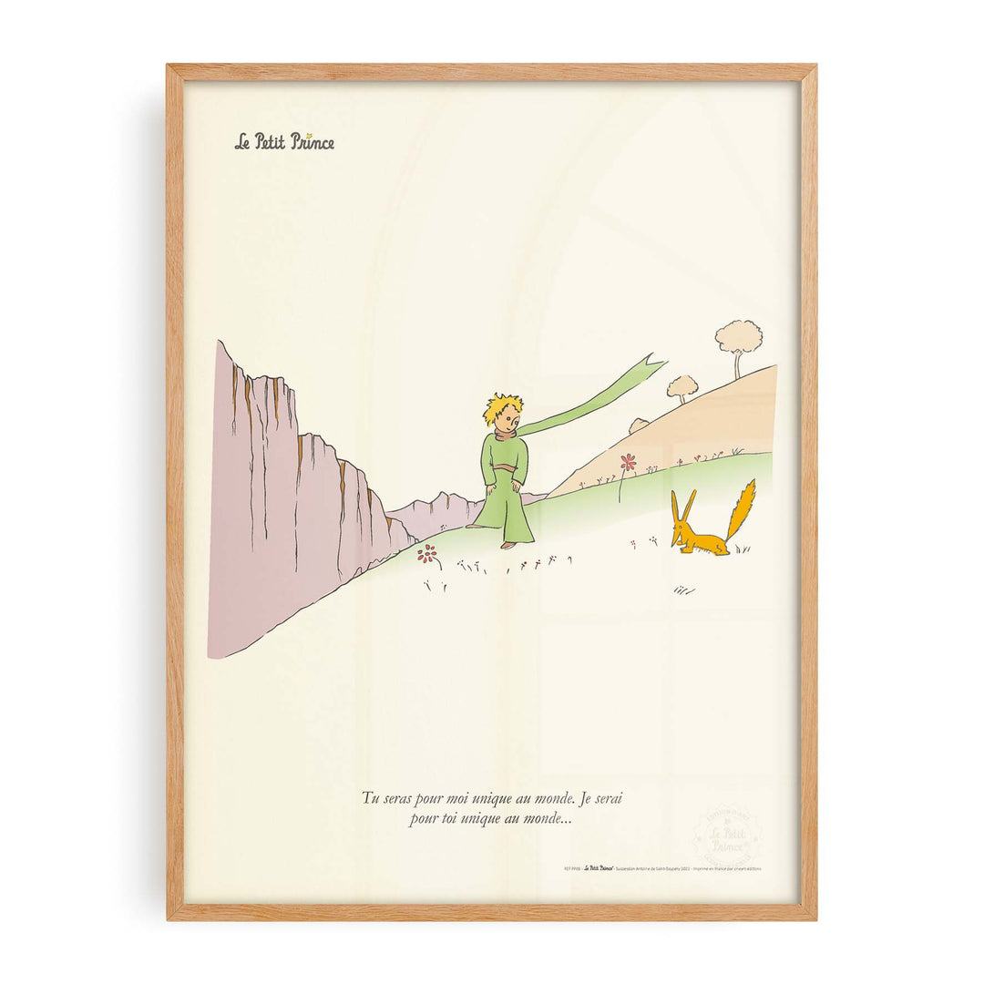 Poster The little prince - Unique in the world