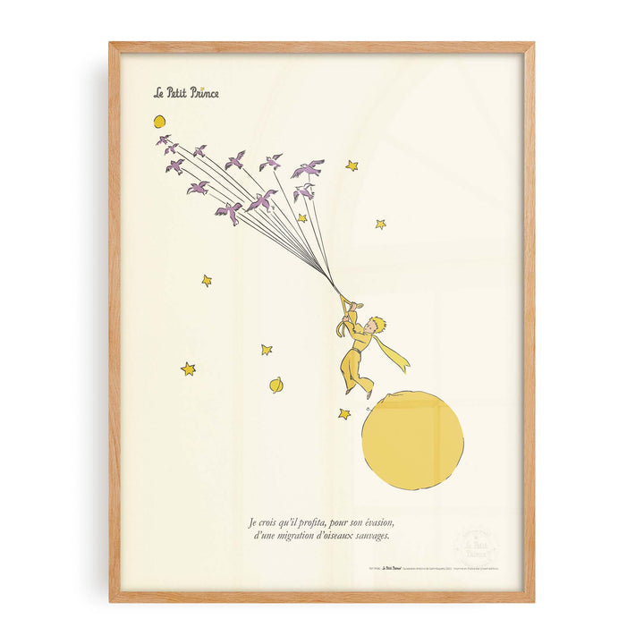 Affiche Le petit prince - Evasion