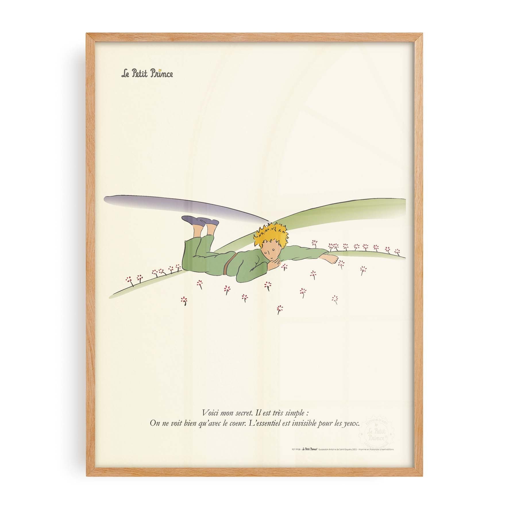 Affiche "Les Imparfaits" Le petit prince - Secret, fleurs