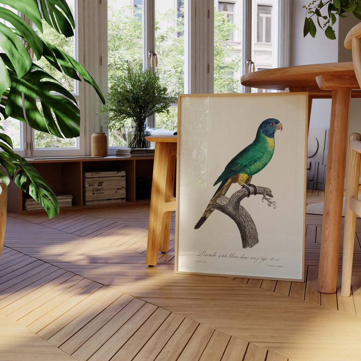 Ornithology board - The blue-headed parakeet