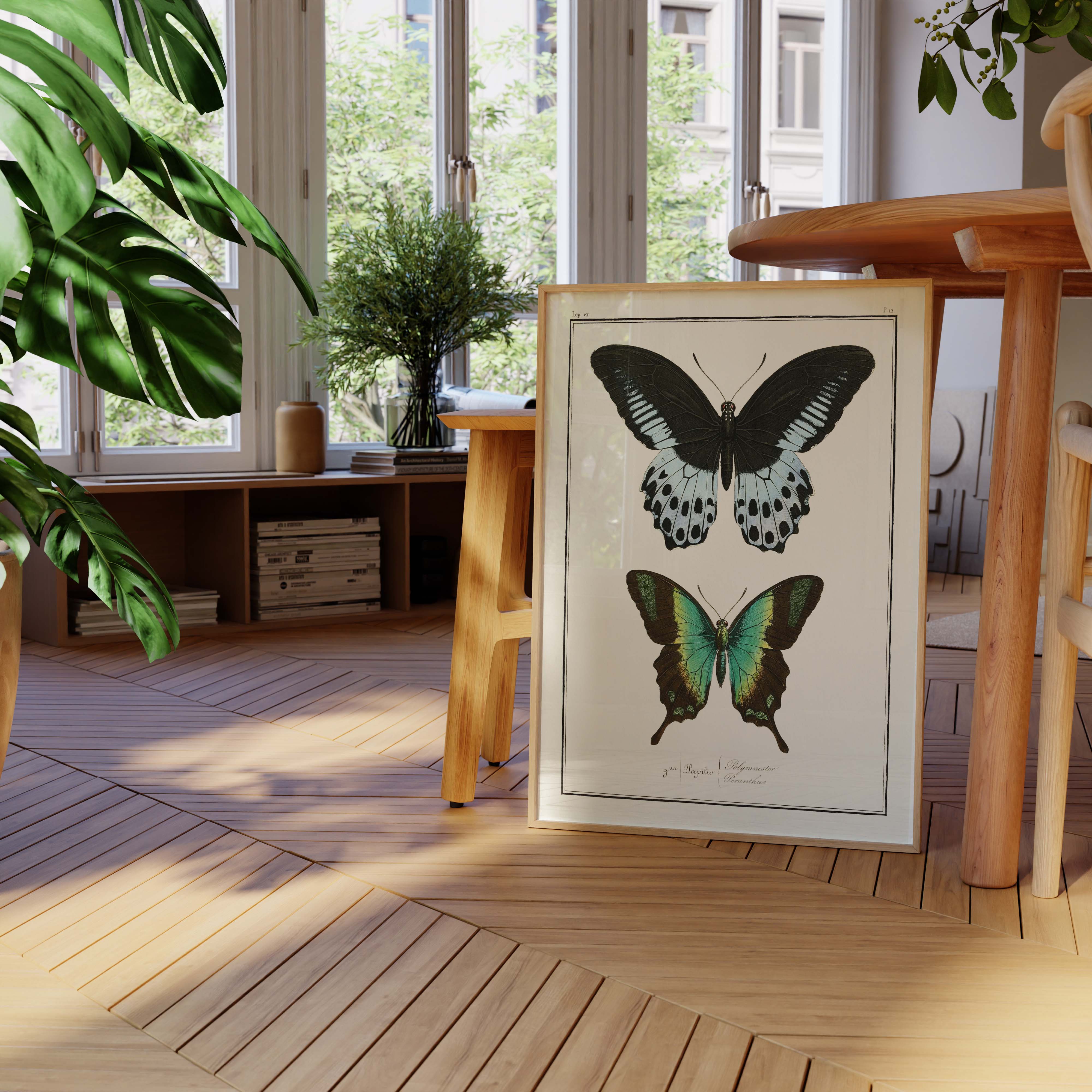 Planche d'entomologie Papillons - N°12-oneart.fr