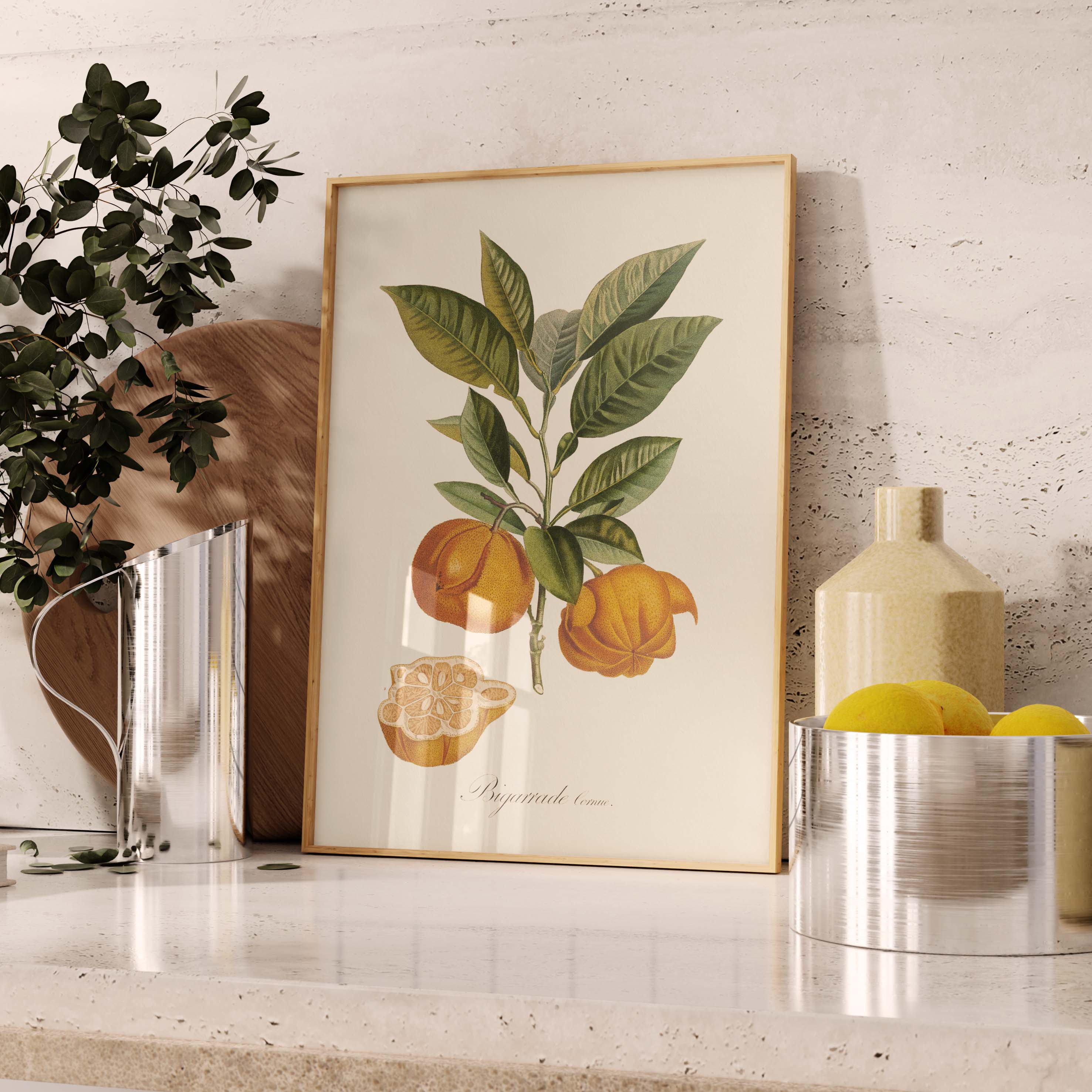 Planche "Les Imparfaits" botanique fruit - Bigarade cornue