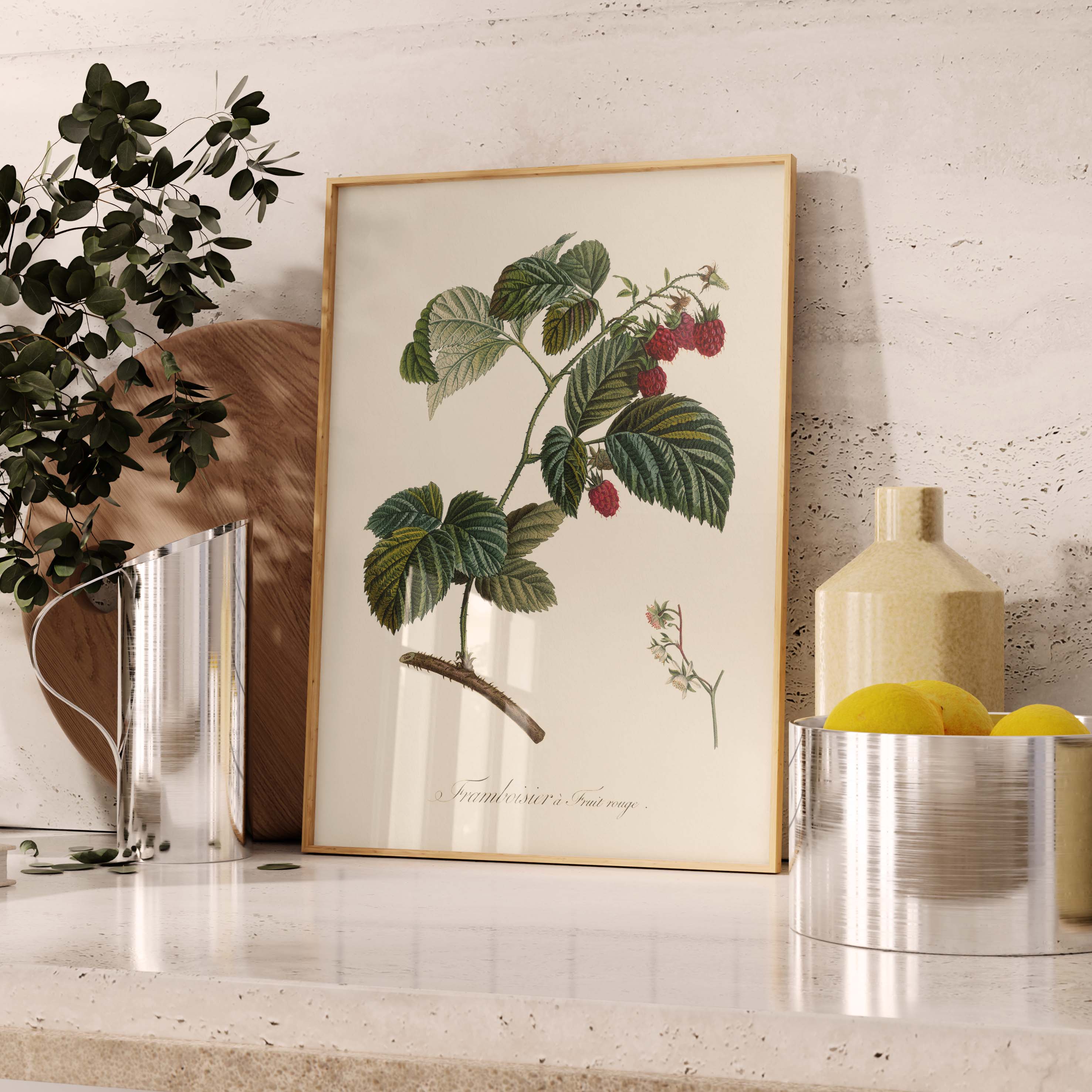 Planche "Les Imparfaits" botanique fruit - Framboisier à fruit rouge