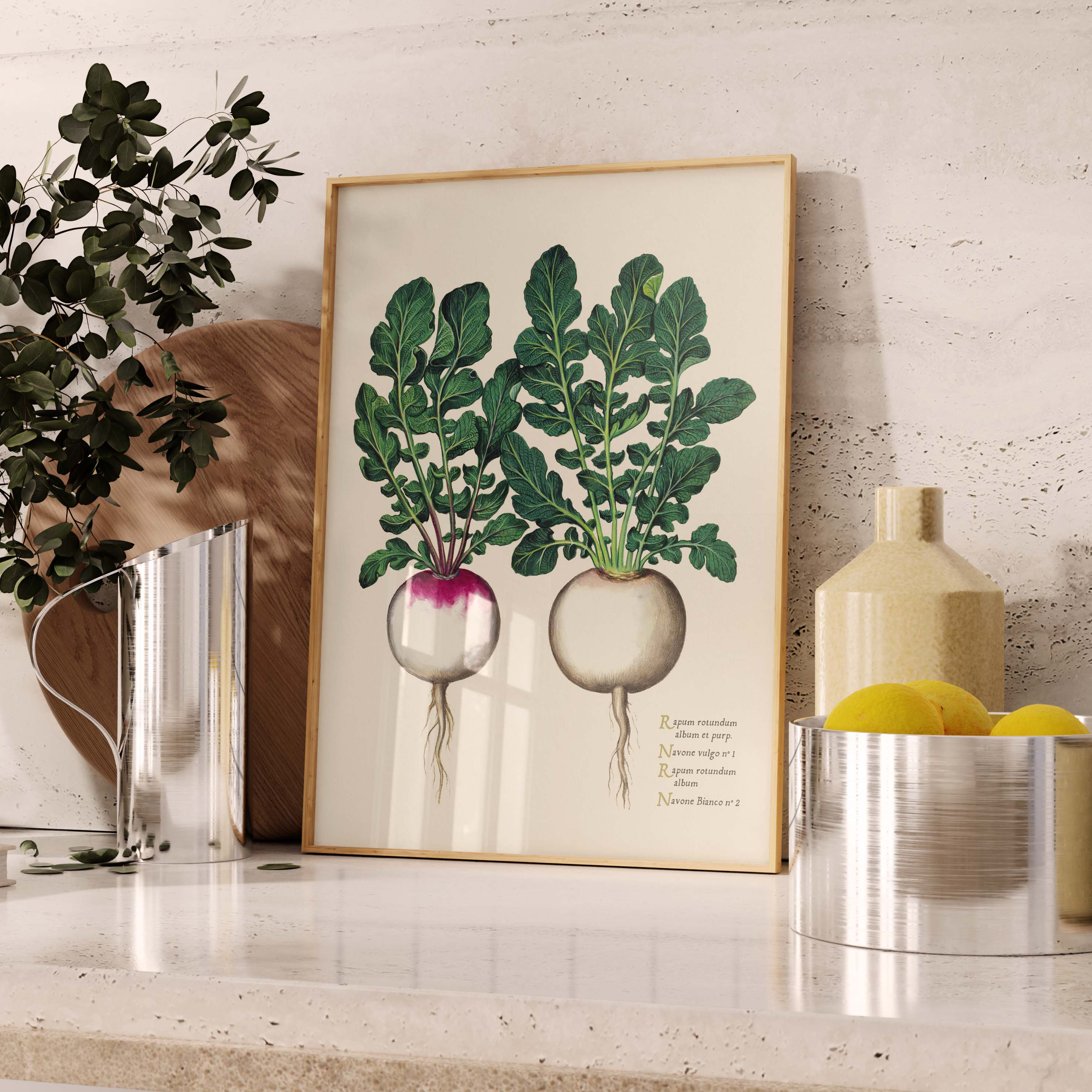 Planche "Les Imparfaits" botanique potager - Navets ronds