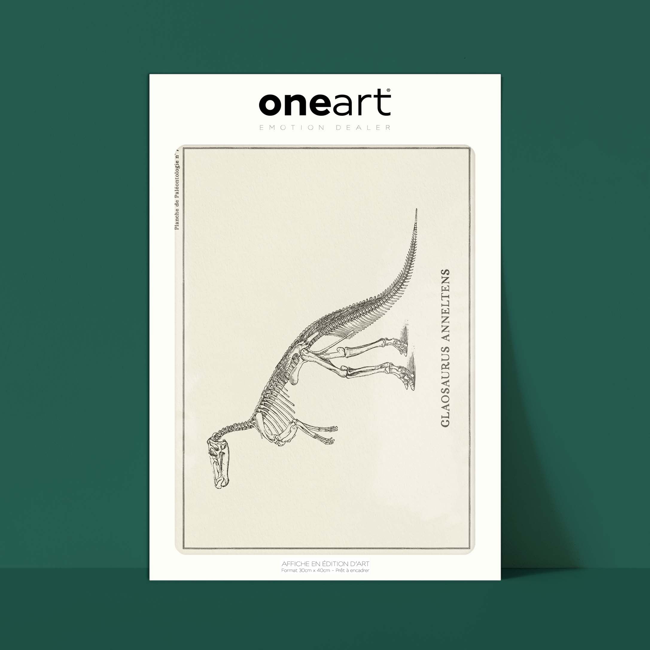 Affiche Dinosaure - Squelette de Claosaure-oneart.fr