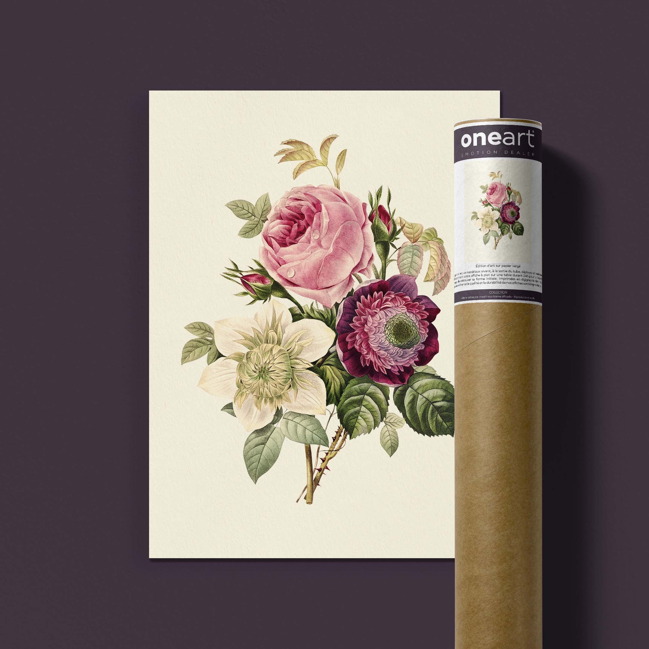 Planche botanique - Rose - Anémone - Clématite-oneart.fr