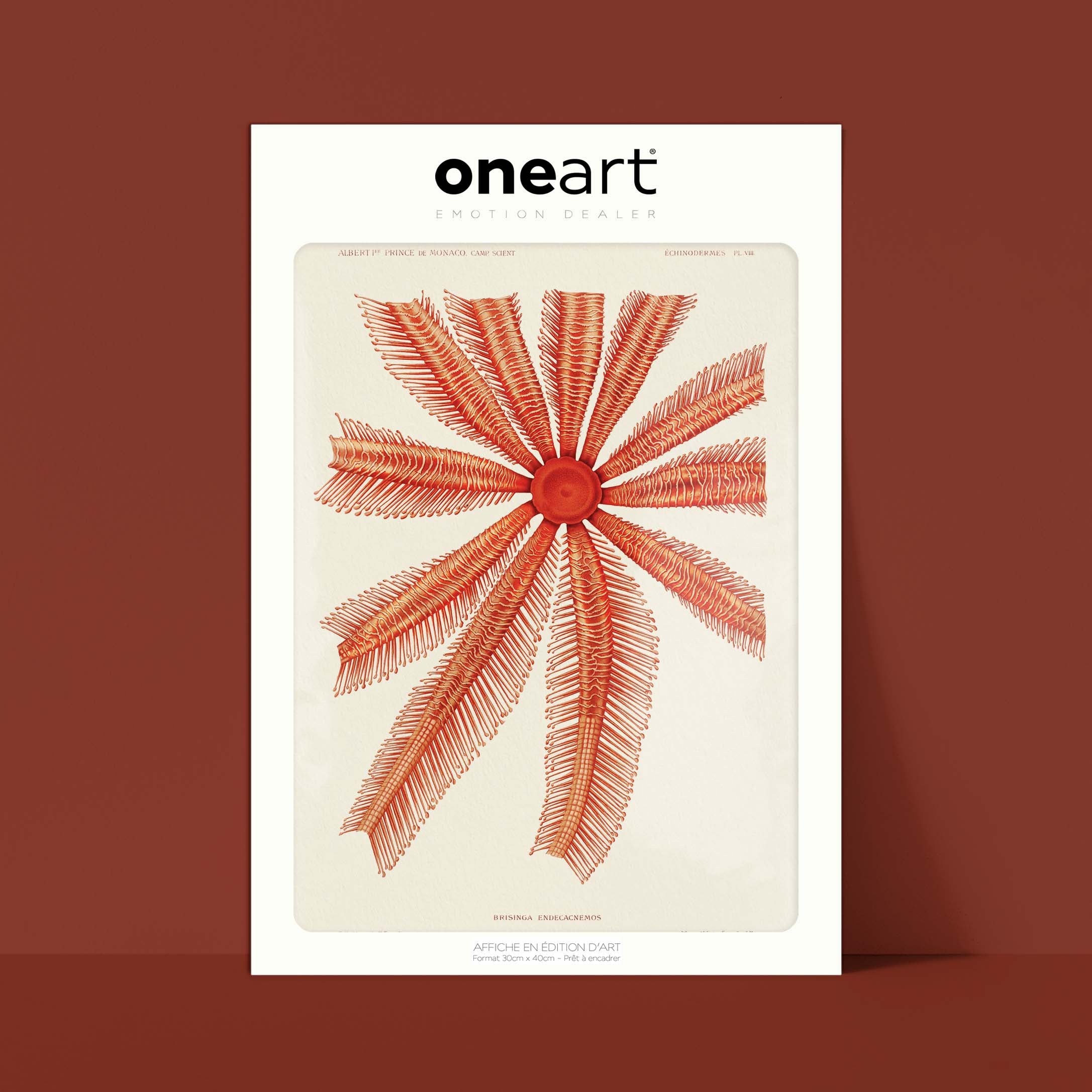 Affiche océan - Brisinga-oneart.fr