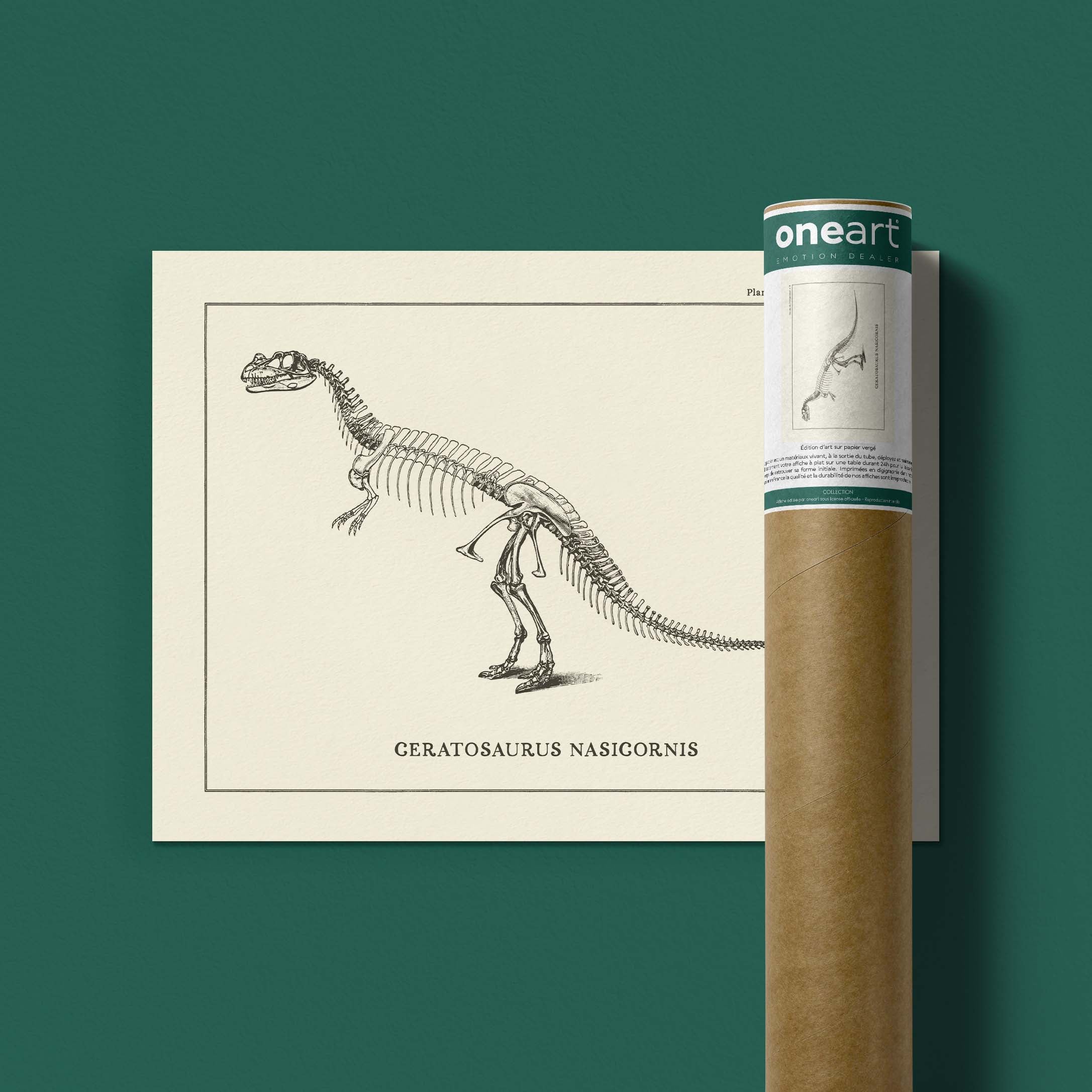 Affiche Dinosaure - Squelette de Ceratosaure-oneart.fr