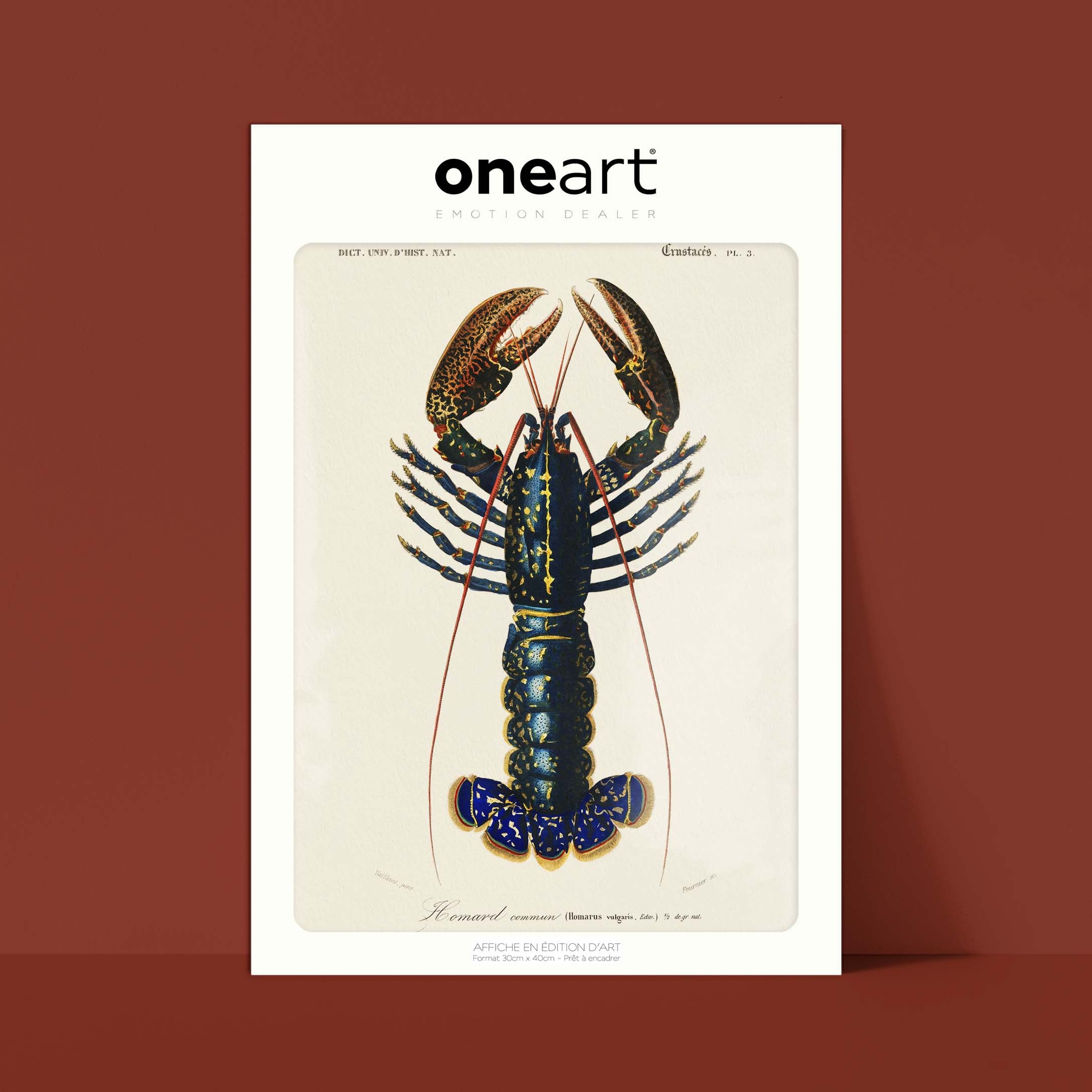 Affiche océan - Le homard-oneart.fr