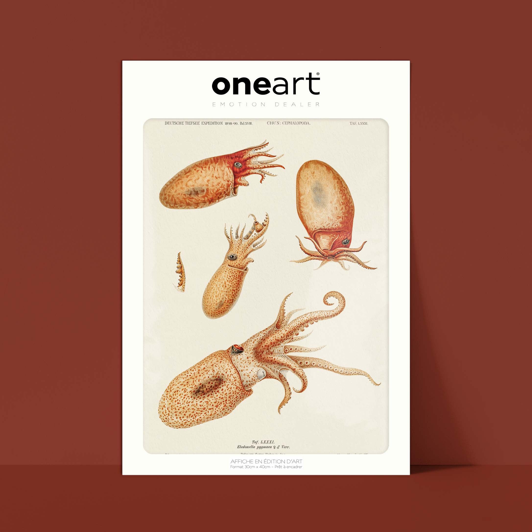 Affiche océan - Les octopodes-oneart.fr
