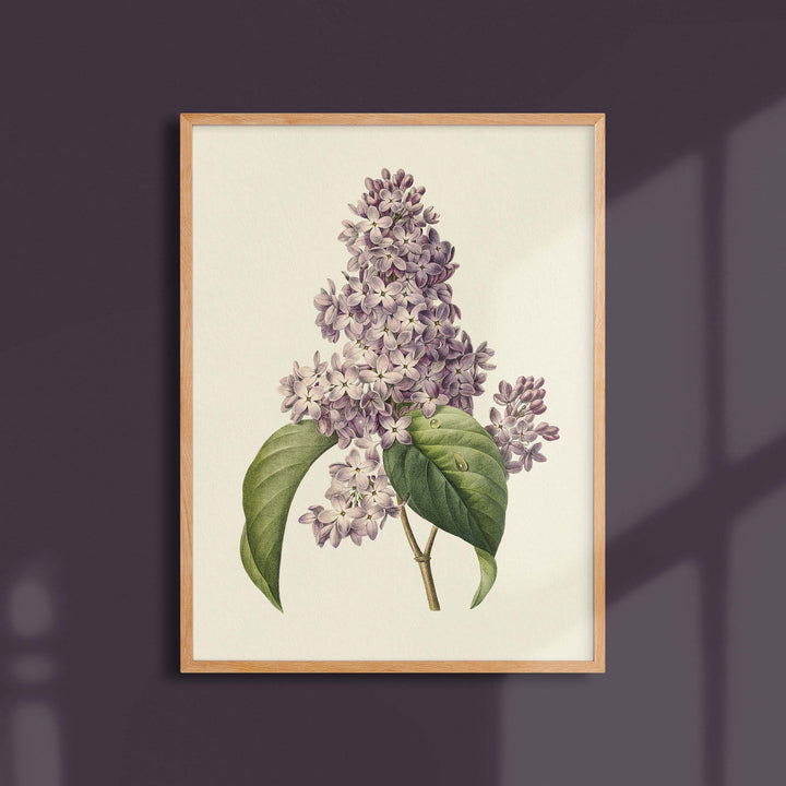 Botanical board - Lilac