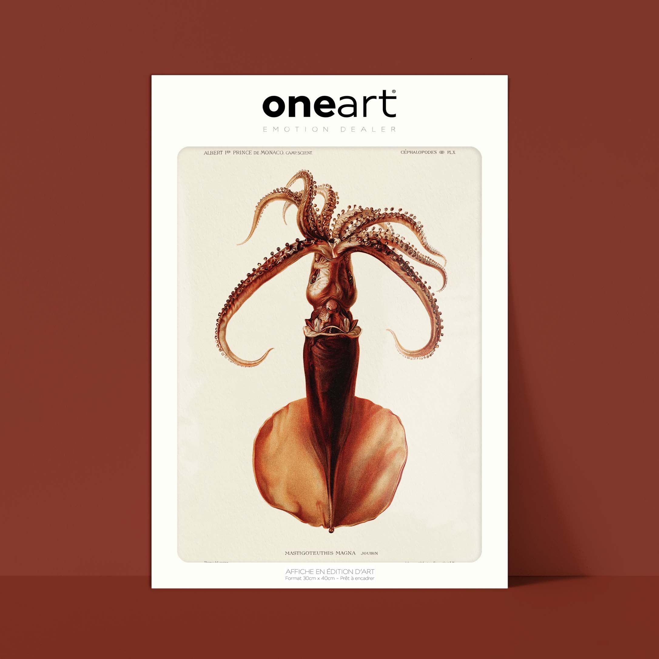 Affiche océan - Le calamar-oneart.fr