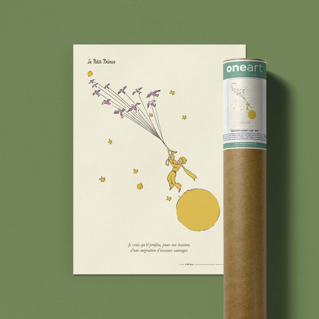 Affiche Le petit prince - Evasion