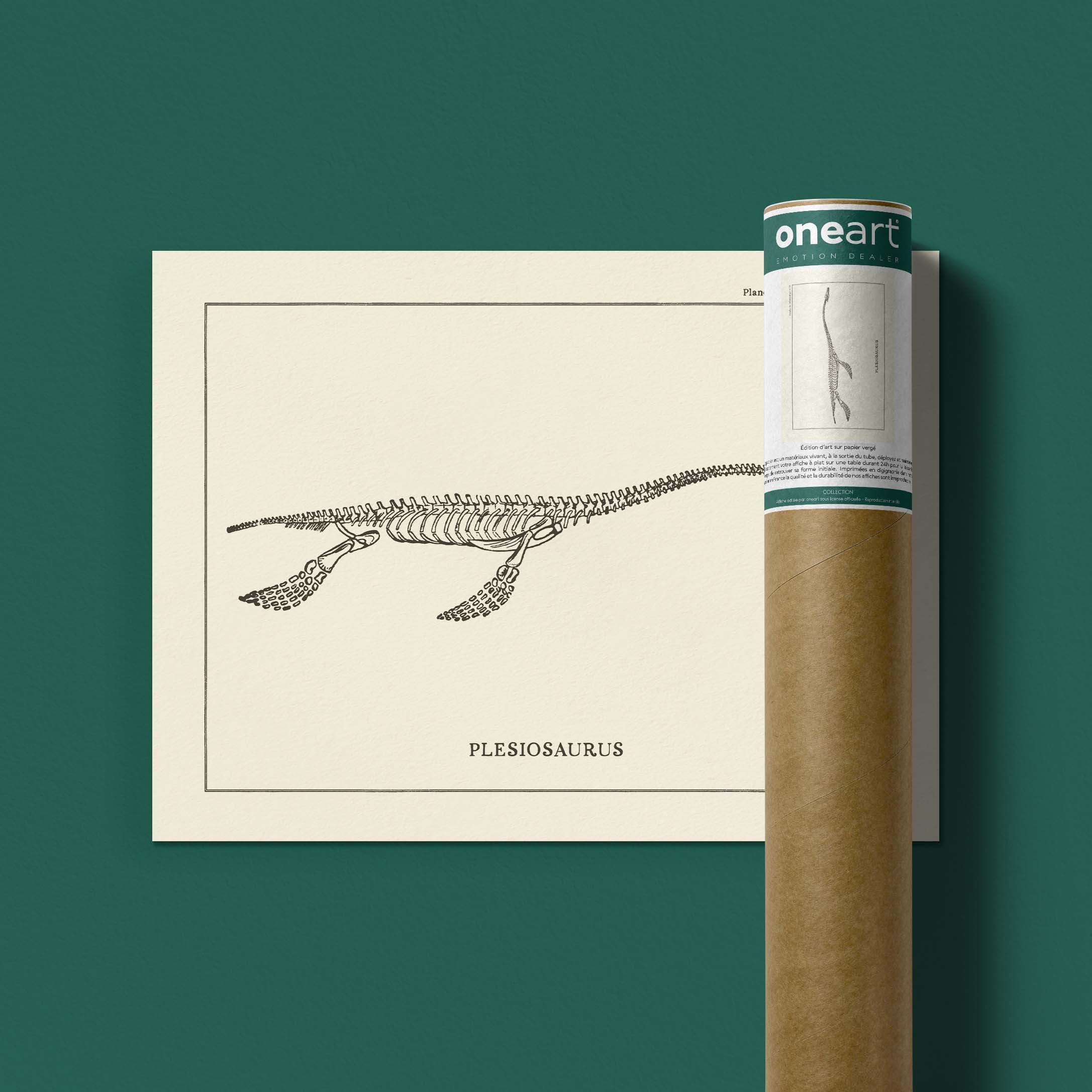 Affiche Dinosaure - Squelette de plesiosaure-oneart.fr