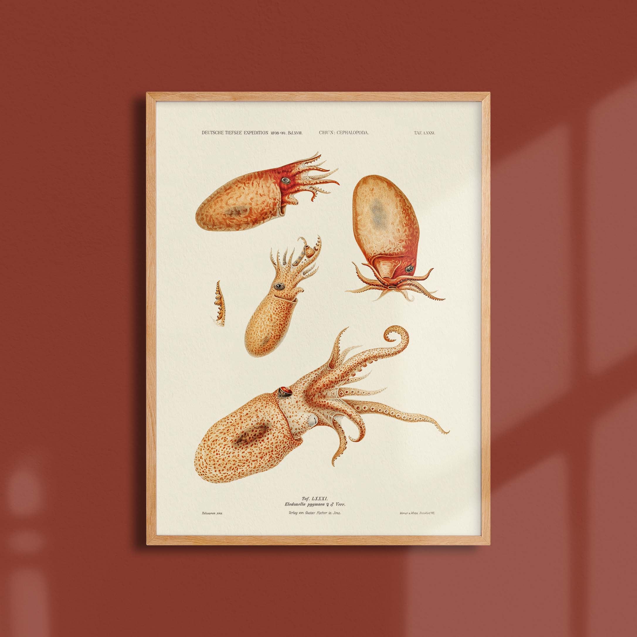 Affiche océan - Les octopodes-oneart.fr