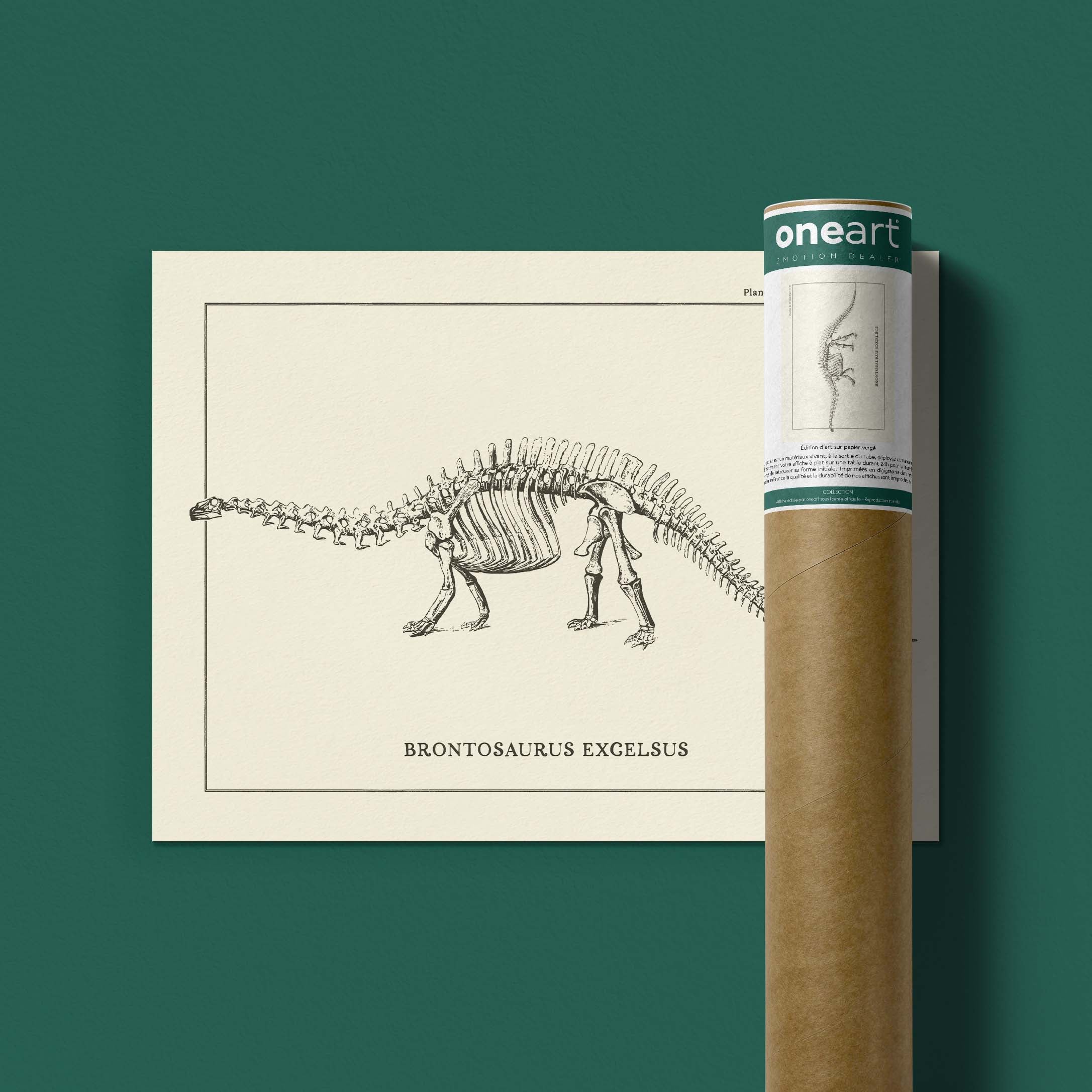 Affiche Dinosaure - Squelette de brontosaure-oneart.fr