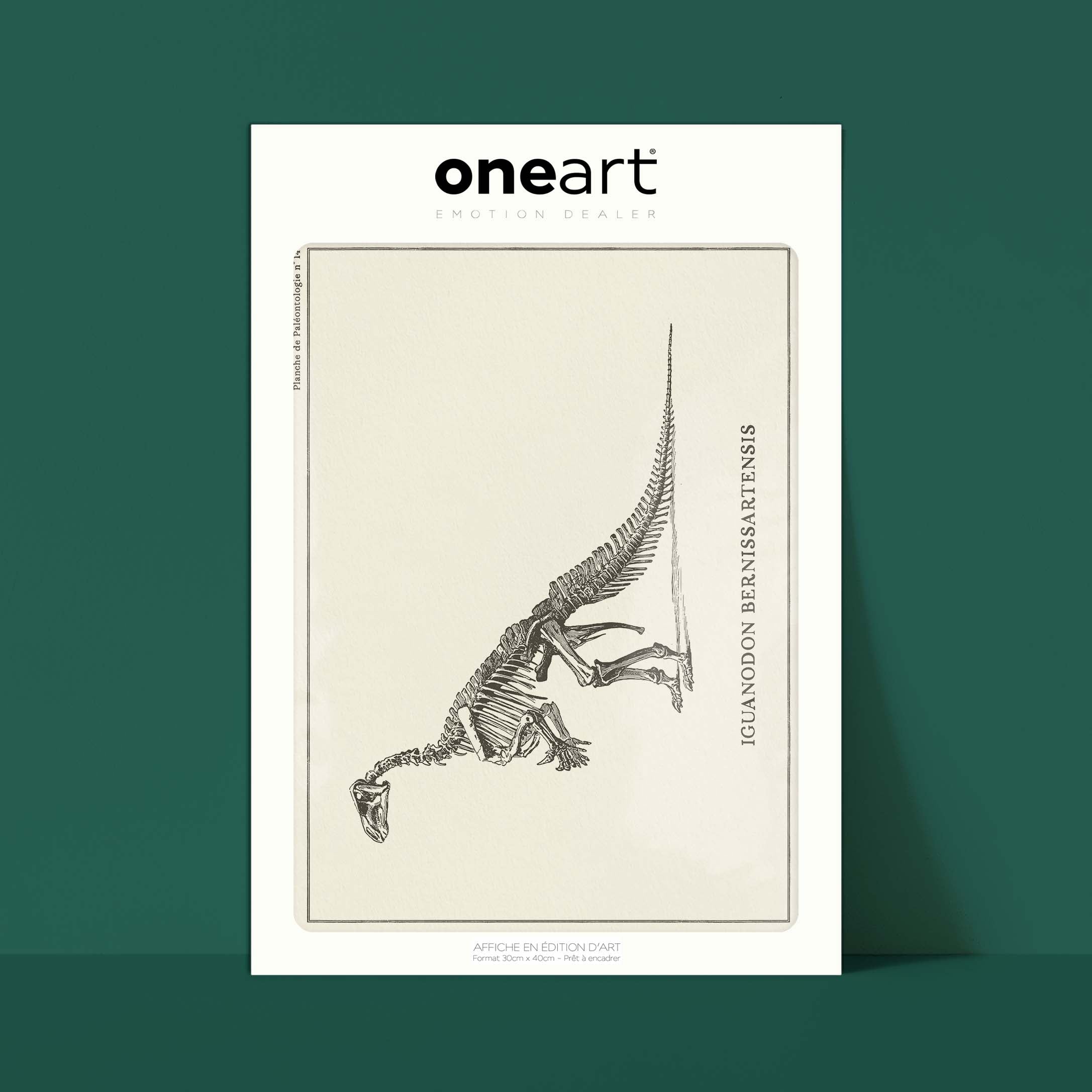 Affiche Dinosaure - Squelette d'iguanodon-oneart.fr
