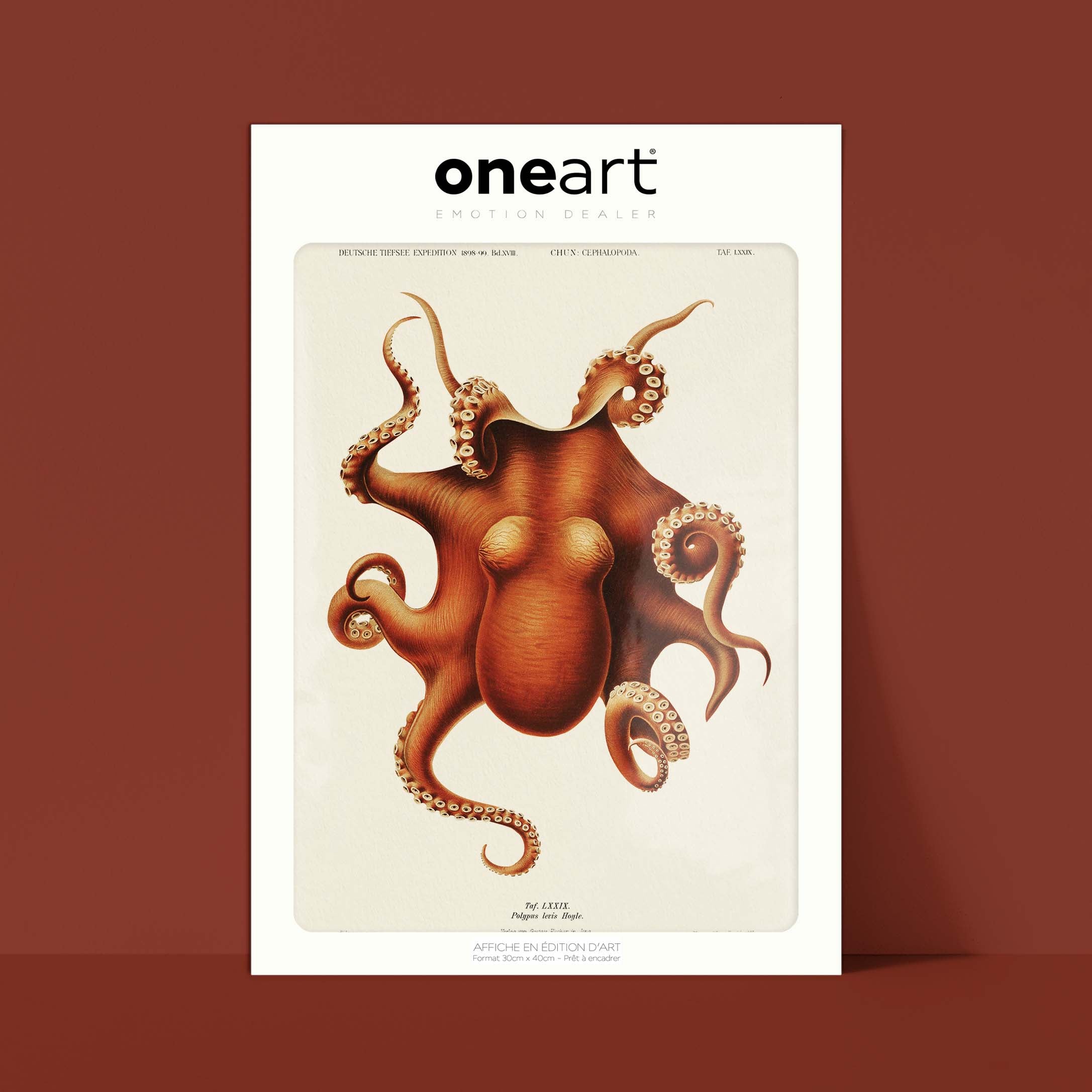 Affiche océan - Le poulpe-oneart.fr