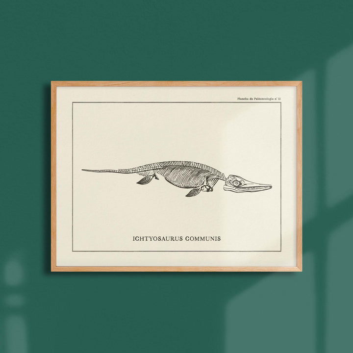 Affiche Dinosaure - Squelette d'ichtyosaure