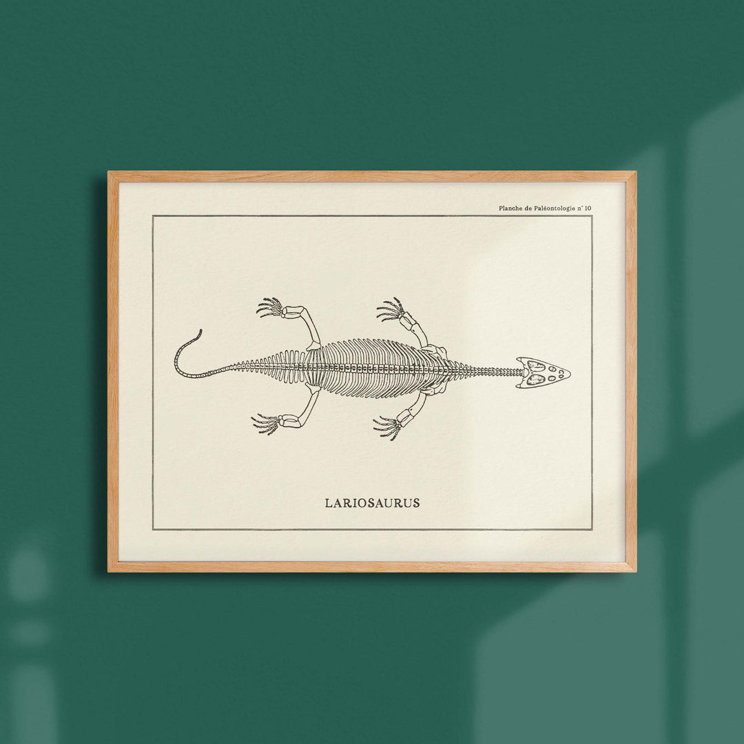 Affiche Dinosaure - Squelette de Lariosaure