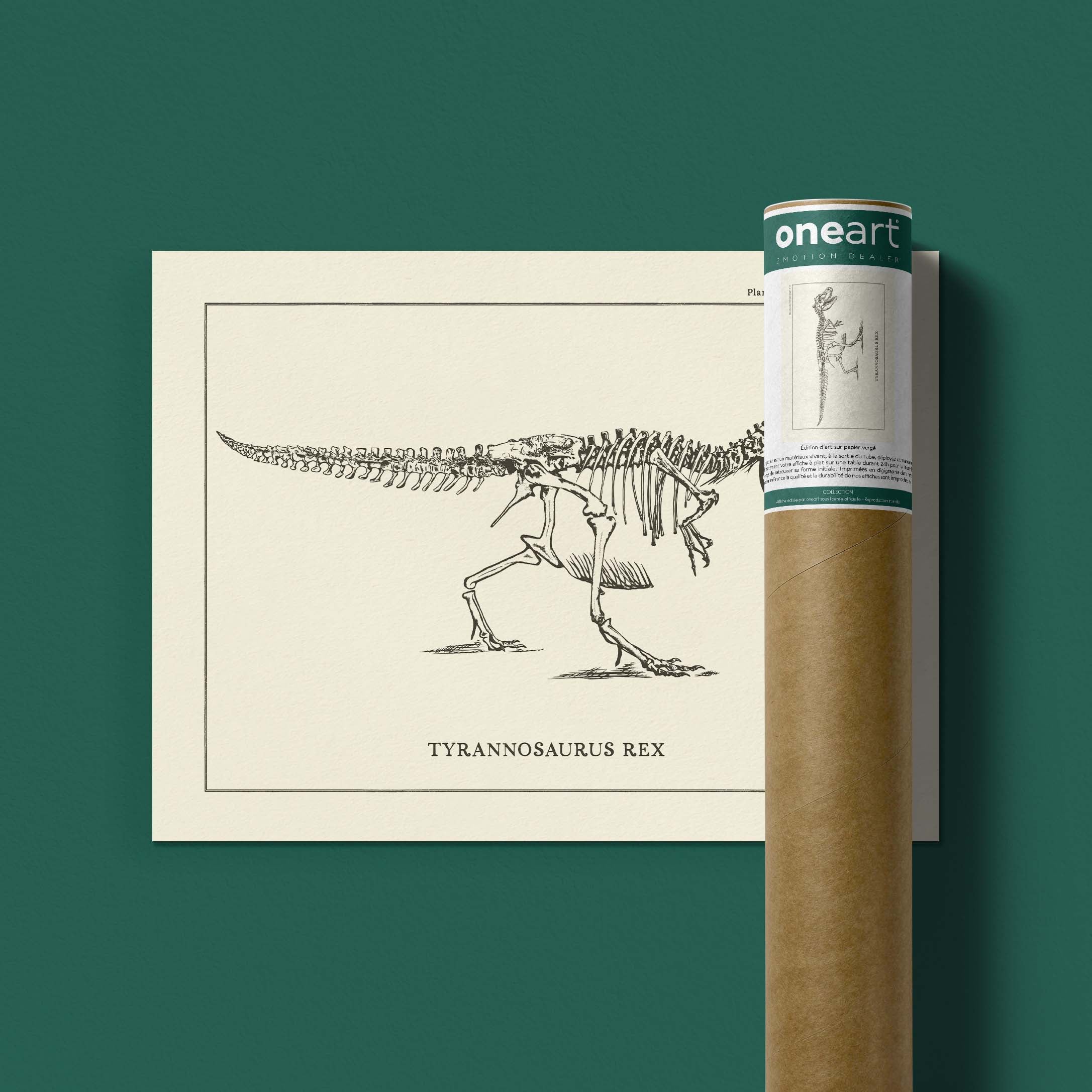 Affiche Dinosaure - Squelette de T-Rex-oneart.fr