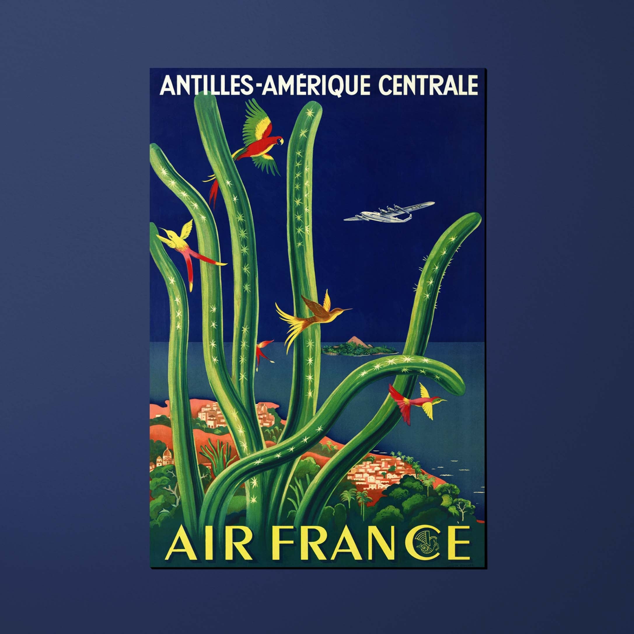 Air France Legend West Indies postcard - Central America, cactus